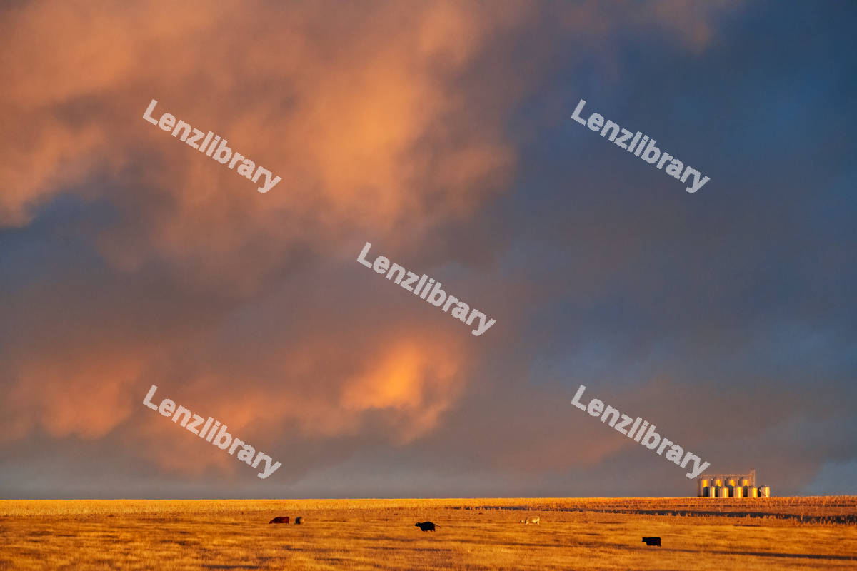An Orange sunset from a farm view